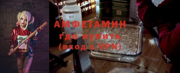 мдпв Богородицк