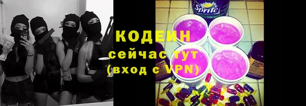 мдпв Богородицк