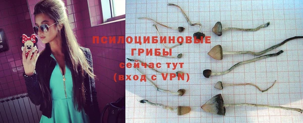 MDMA Богданович