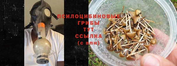 мдпв Богородицк