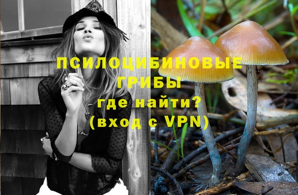 мет Бородино