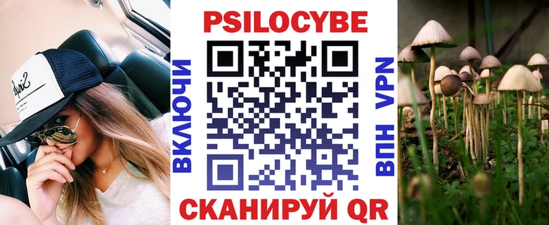 наркошоп  Кирсанов  Галлюциногенные грибы GOLDEN TEACHER 